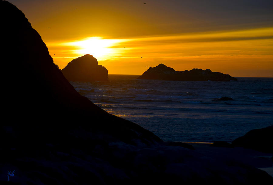 Bandon Beach Solstice Sunset Photograph by Michele Avanti
