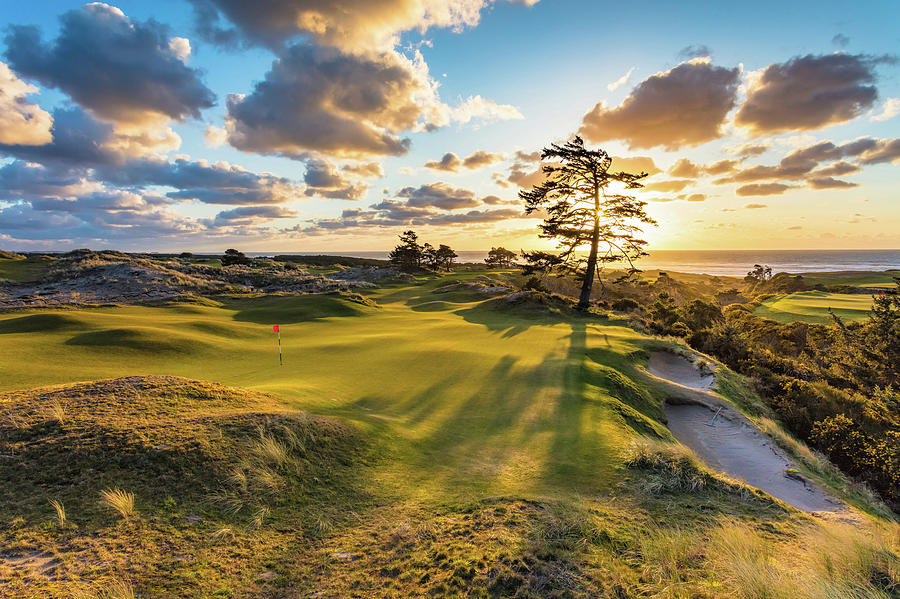 Golf Photograph - Bandon Preserve Hole 11-2018 by Mike Centioli
