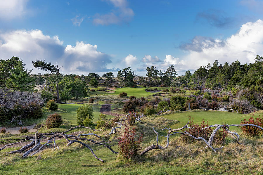 Bandon Trails Hole 17 Photograph by Mike Centioli