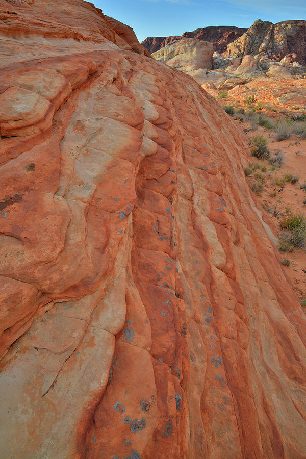 Bands Of Color In Sandstone Of Valley Of Fire Photograph