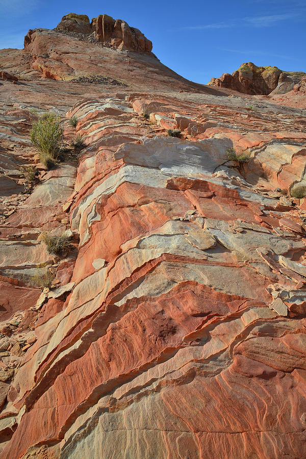 Bands of Color on the Slopes of Valley of Fire Photograph by Ray Mathis