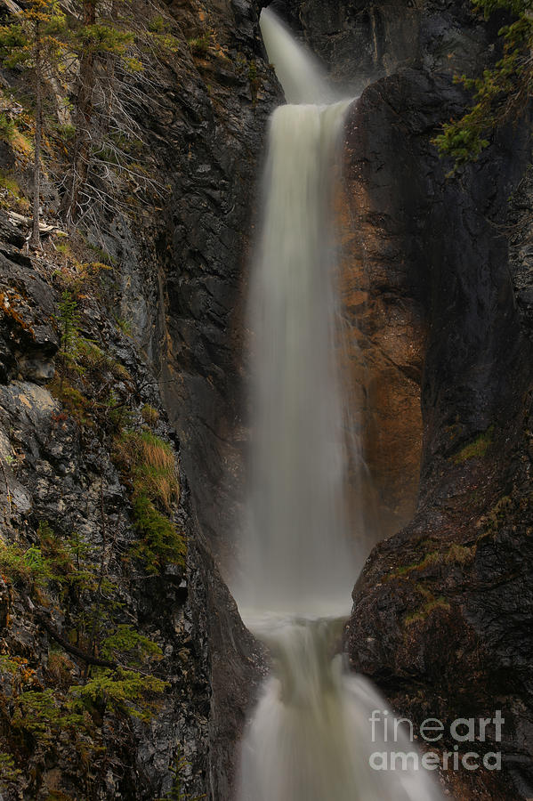 Banf Silverton Falls Photograph by Adam Jewell