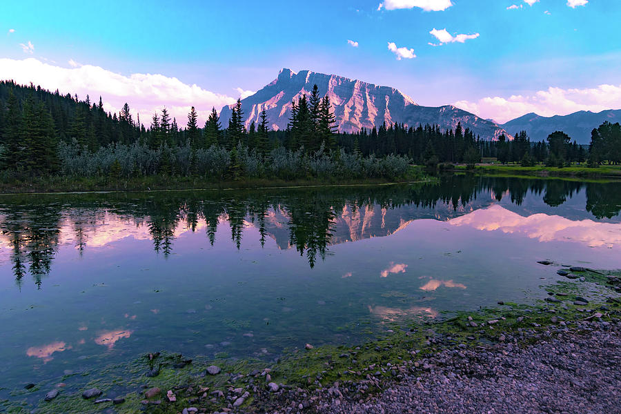 Tree Photograph - Mount Rundle Sunset  by Norma Brandsberg