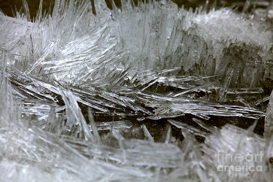 Banff Bow Lake Ice Crystals Photograph by Adam Jewell