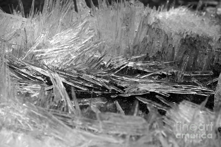 Banff Ice Crystals Photograph by Adam Jewell