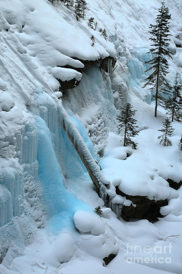 Banff Winter Splendor Photograph by Adam Jewell