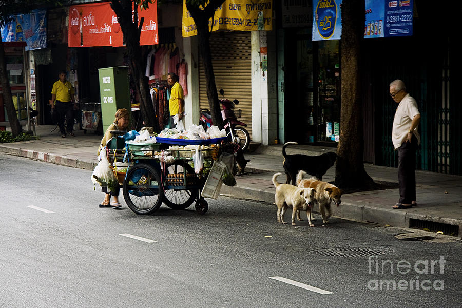 Dog Photograph - Bangkok Street Vendor by Leo Bello