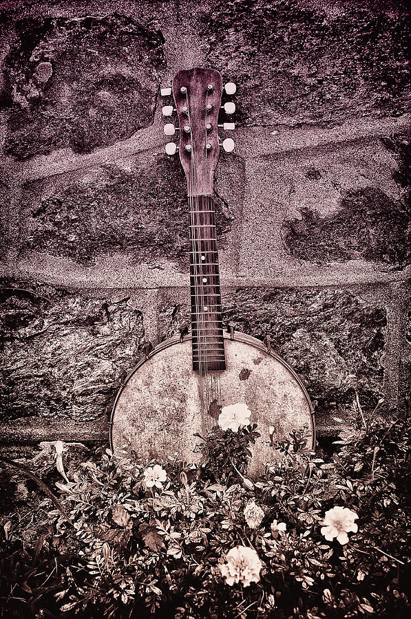 Banjo Mandolin on Garden Wall Photograph by Bill Cannon
