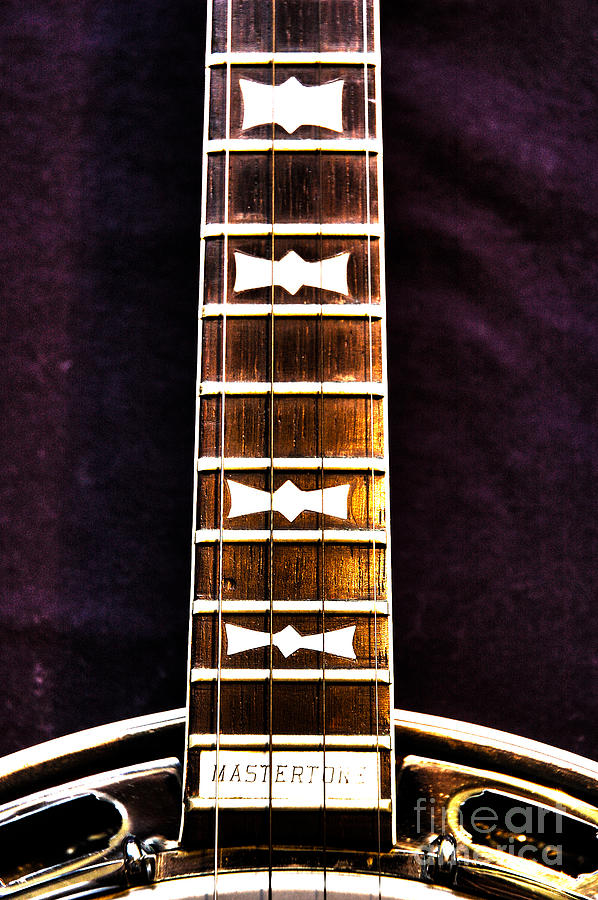 Gibson banjo Neck Photograph by Micah May