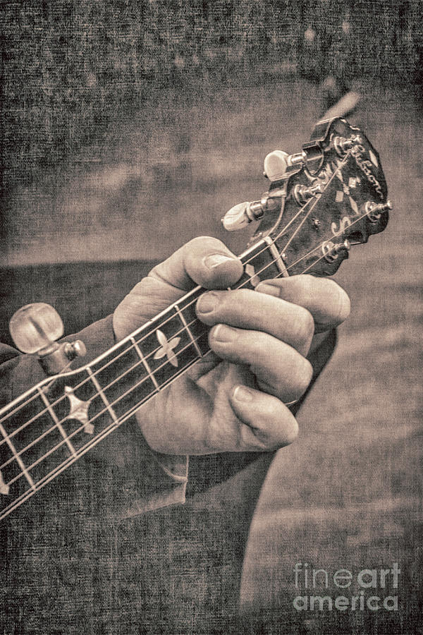 Banjo Pickin Photograph by Pamela Williams