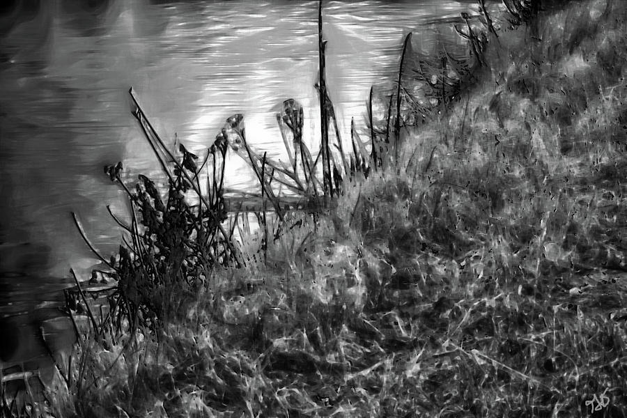 Bank Of A Pond Photograph