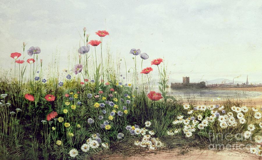 Bank of Summer Flowers by Andrew Nicholl Painting by Andrew Nicholl