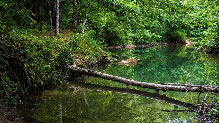 Bankhead Blue Hole Reflections Photograph by James-Allen