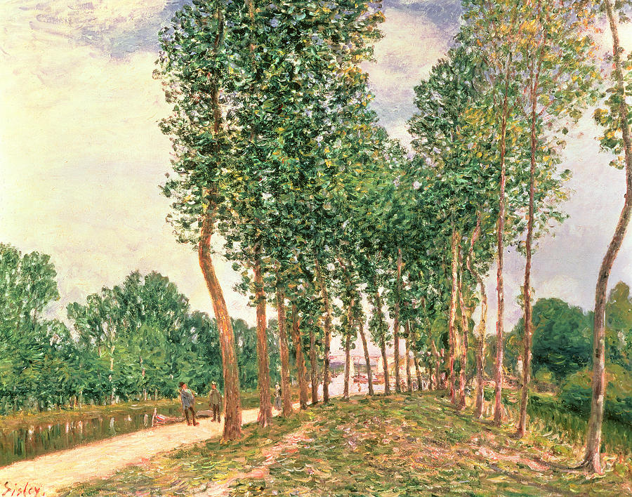 Tree Painting - Banks of the Loing, near Moret  by Alfred Sisley