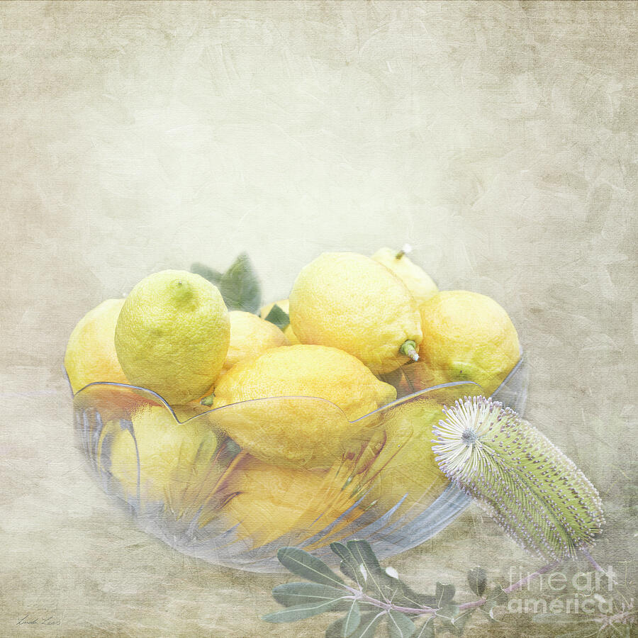 Banksia and Lemons Photograph by Linda Lees