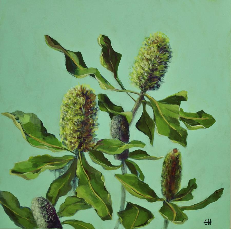 Flower Painting - Banksias Australian Flora Painting by Chris Hobel