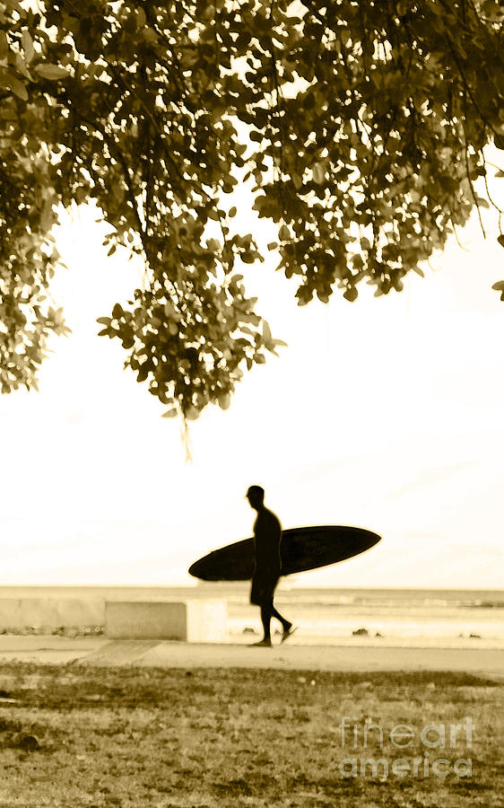 Black And White Photograph - Banyan Surfer - Triptych  part 3 of 3 by Sean Davey