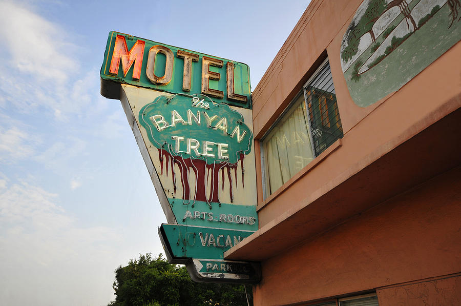 Banyan Tree Photograph - Banyan Tree Motel by David Lee Thompson