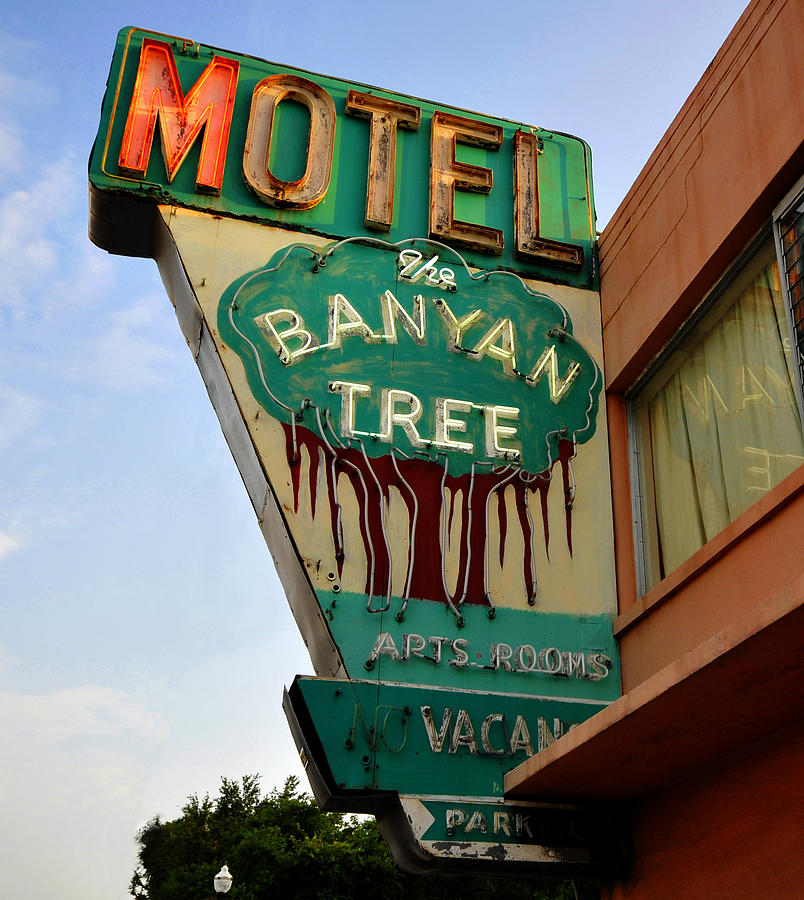 Banyan Tree Motel sign 1950s Photograph by David Lee Thompson