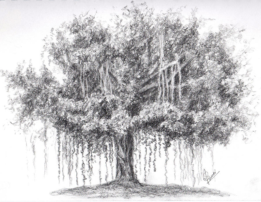 बरगद का पेड़: The Banyan Tree (A Short Story for Children) | Exotic India  Art