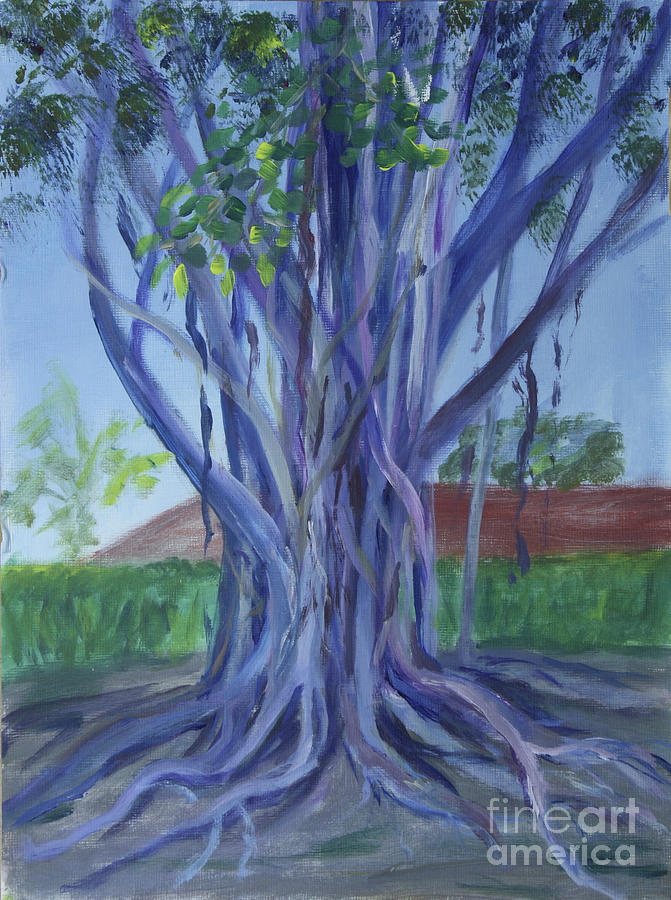 Banyon Tree at Boca Museum School Painting by Donna Walsh