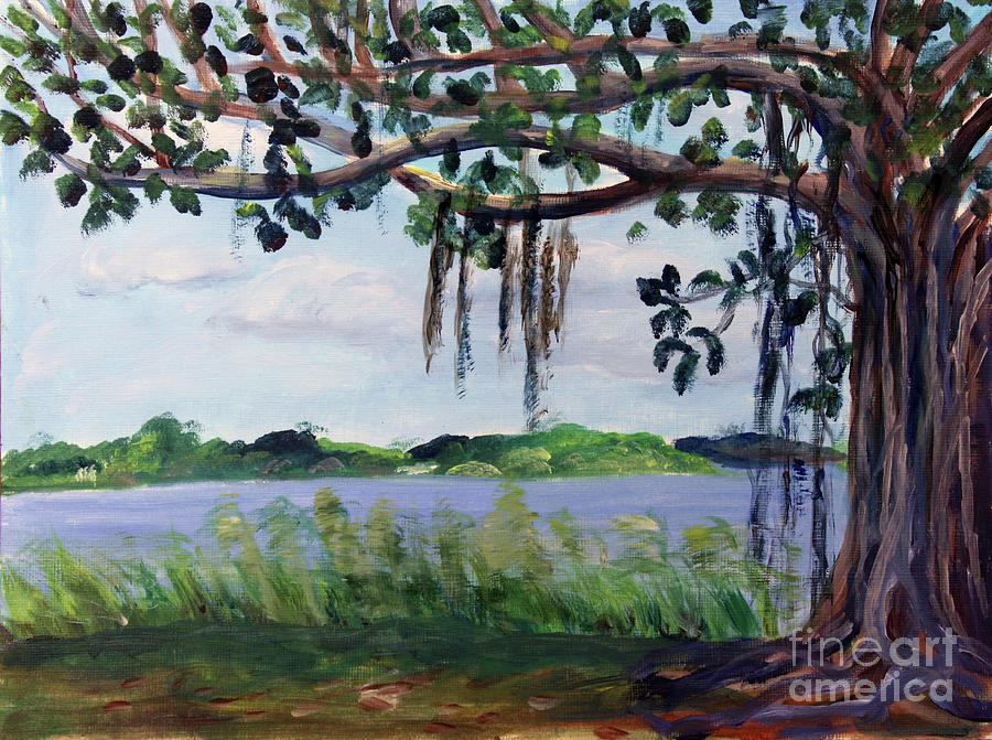 Banyon Tree at Lake Ida Painting by Donna Walsh