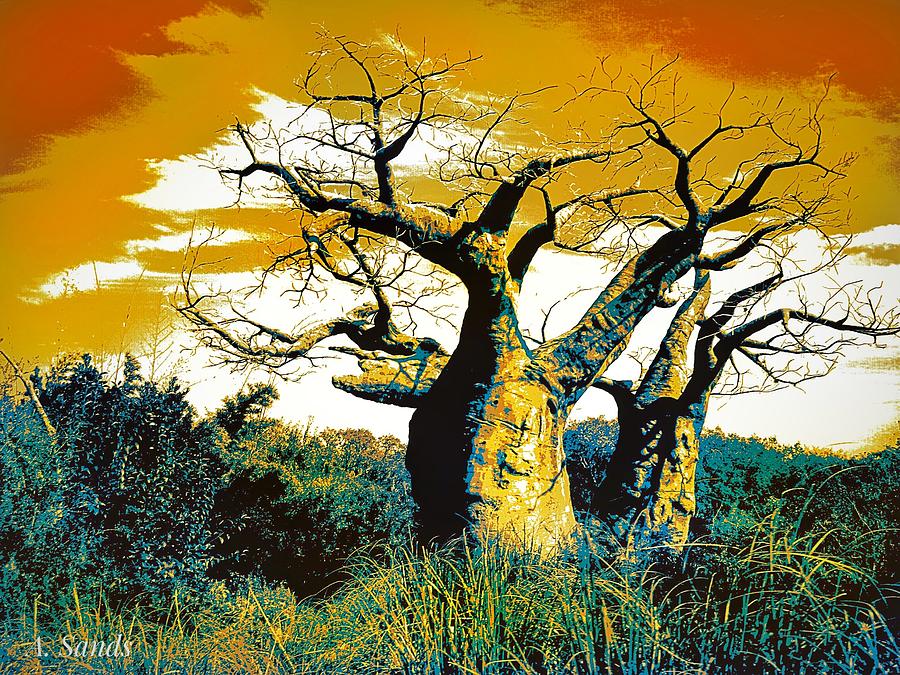 Baobab Tree Painting by Anne Sands