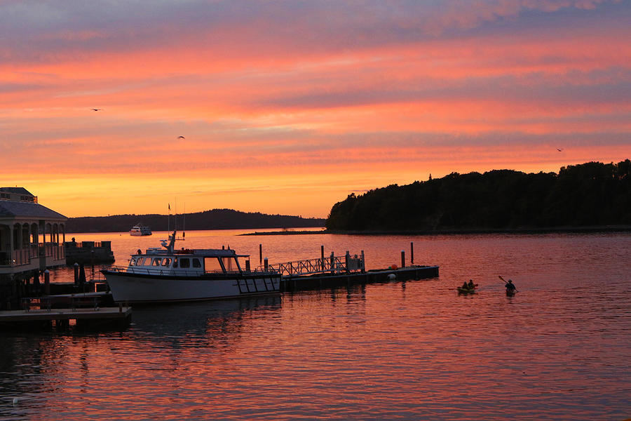 Bar Harbor Cruise Photograph by David Yunker