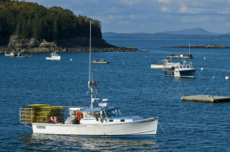 Bar Harbor Tranquility Photograph by Brian Green