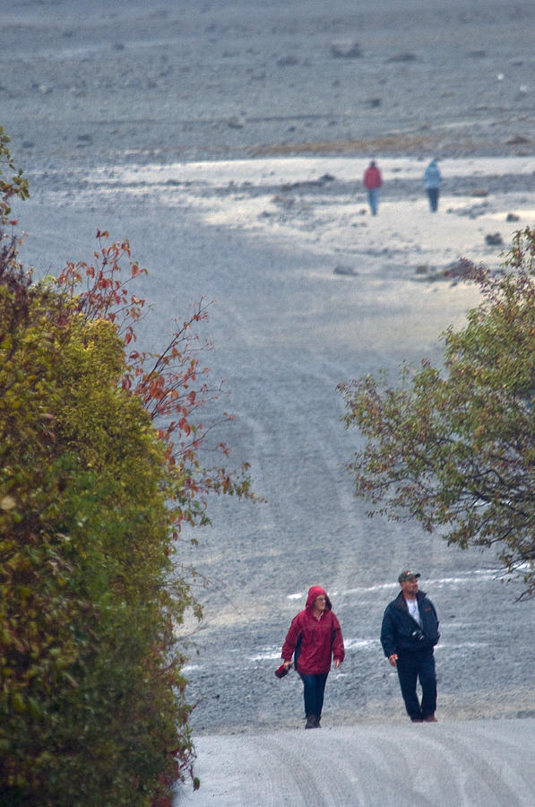 Bar Harbor Walk Photograph by Brian Green - Fine Art America