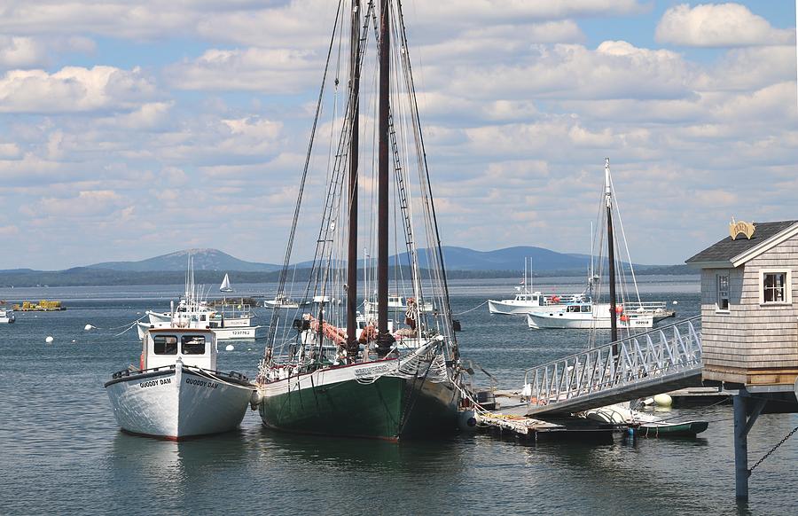 Bar Harbor Waterfront and Boats Photograph by Living Color Photography Lorraine Lynch