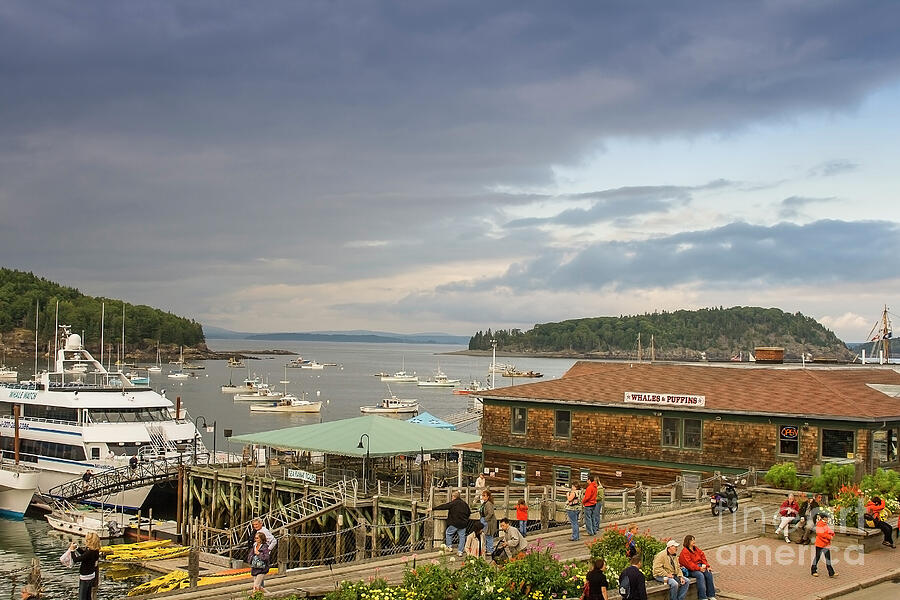 Bar Harbor waterfront Photograph by Patricia Hofmeester