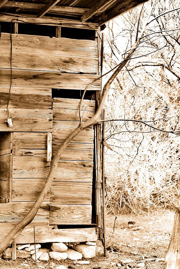 Bar The Barn Door Photograph By Jeanie Mann