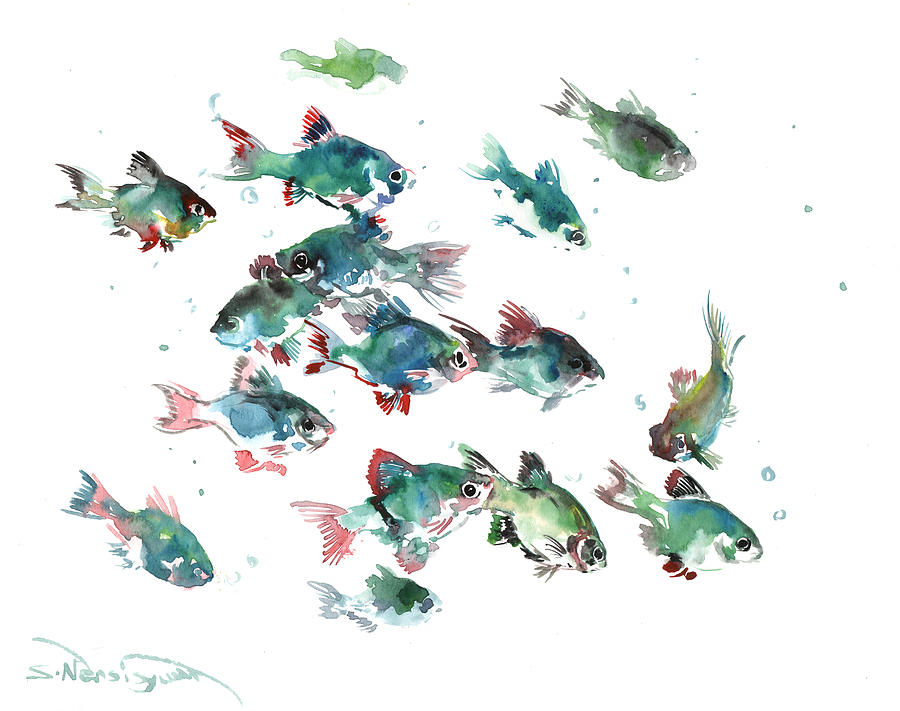 Barb Fish Painting by Suren Nersisyan