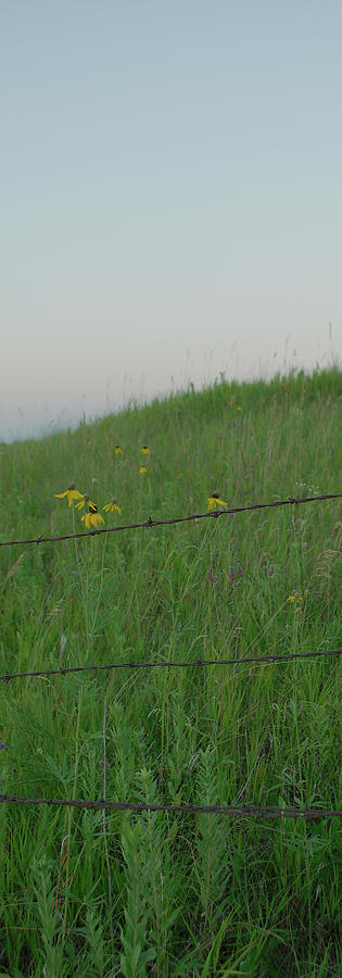 Barb Wire Prairie Photograph