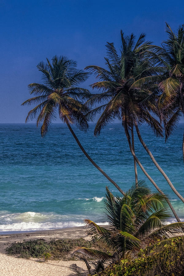 Nature Photograph - Barbados Beach by Andrew Soundarajan