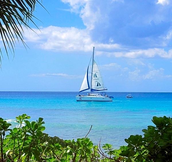 Barbados Breeze Photograph by Betty Buller Whitehead