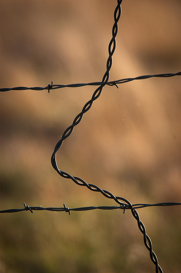 Barbed and Bent Fence Photograph by Monte Stevens