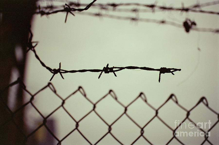 Barbed Photograph by Dean Harte
