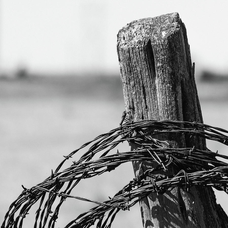 Barbed Post Photograph by Hillis Creative