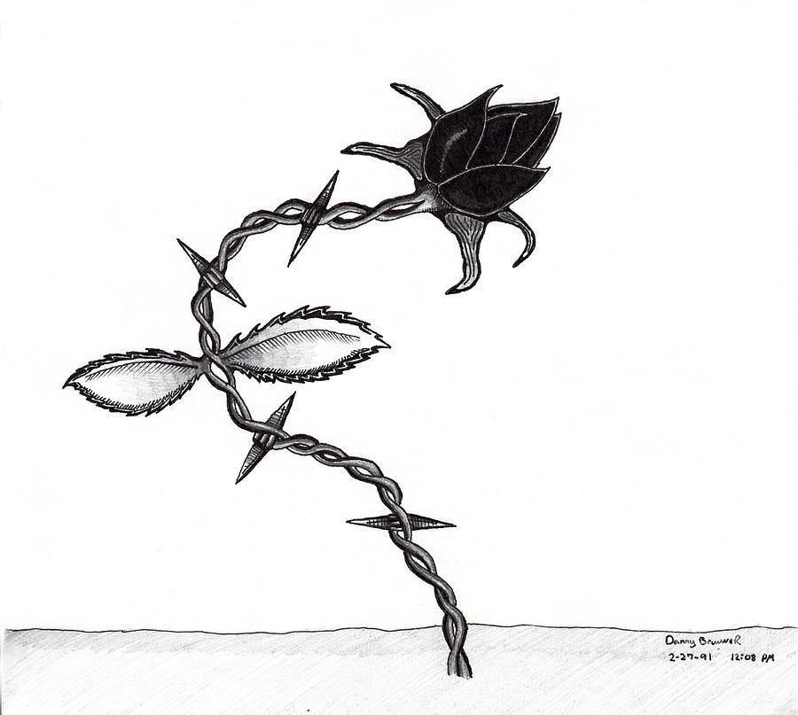 Barbed Rose is a drawing by Daniel Brunner which was uploaded on September ...