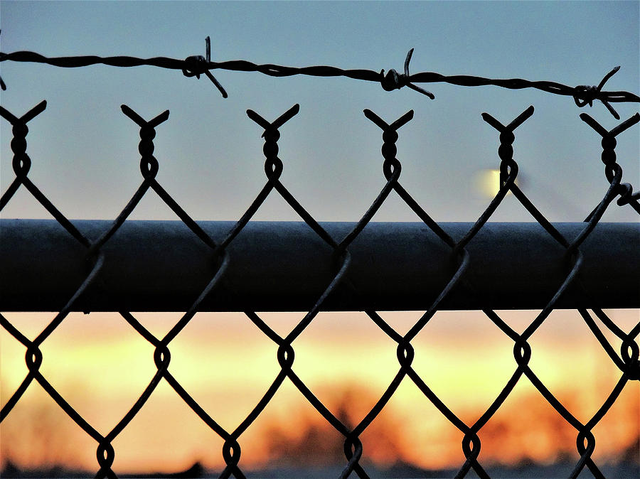 Barbed Wire Design Photograph