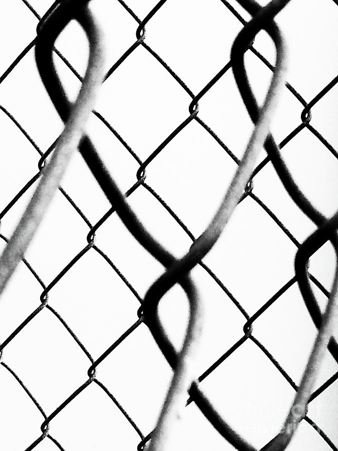 Barbed Wire Photograph by Fei A