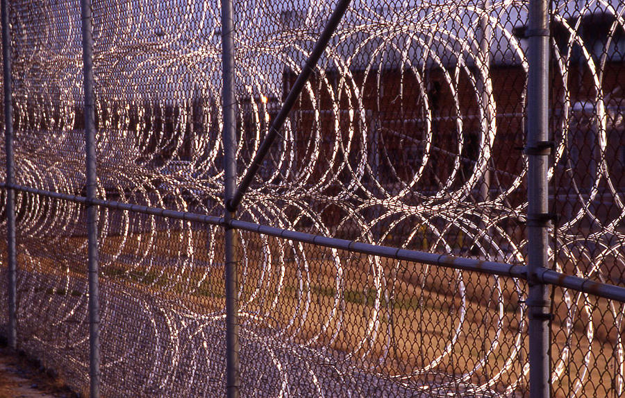Barbed Wire Fence 1 Photograph by Randy Muir Fine Art America
