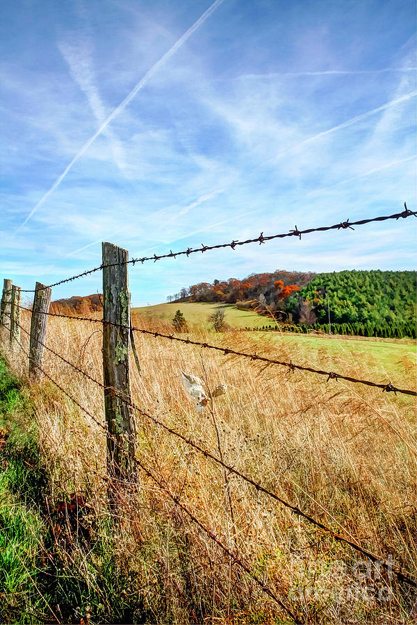 Barbed Wire Fence Along Blue Ridge Parkway Photograph by Karen Jorstad
