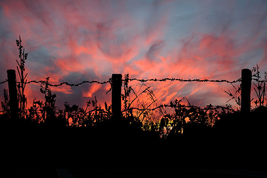 Barbed Wire Fence on the Hill Digital Art by Dustie Meads Fine Art
