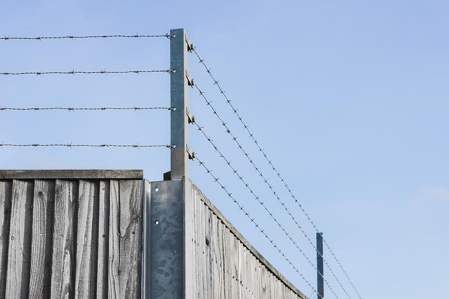 Abstract Photograph - Barbed wire fence by Tom Gowanlock