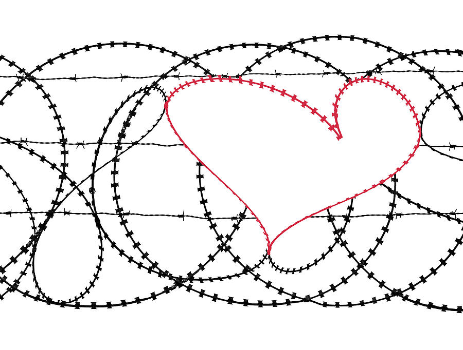 Barbed Wire Heart Photograph By Karen Black