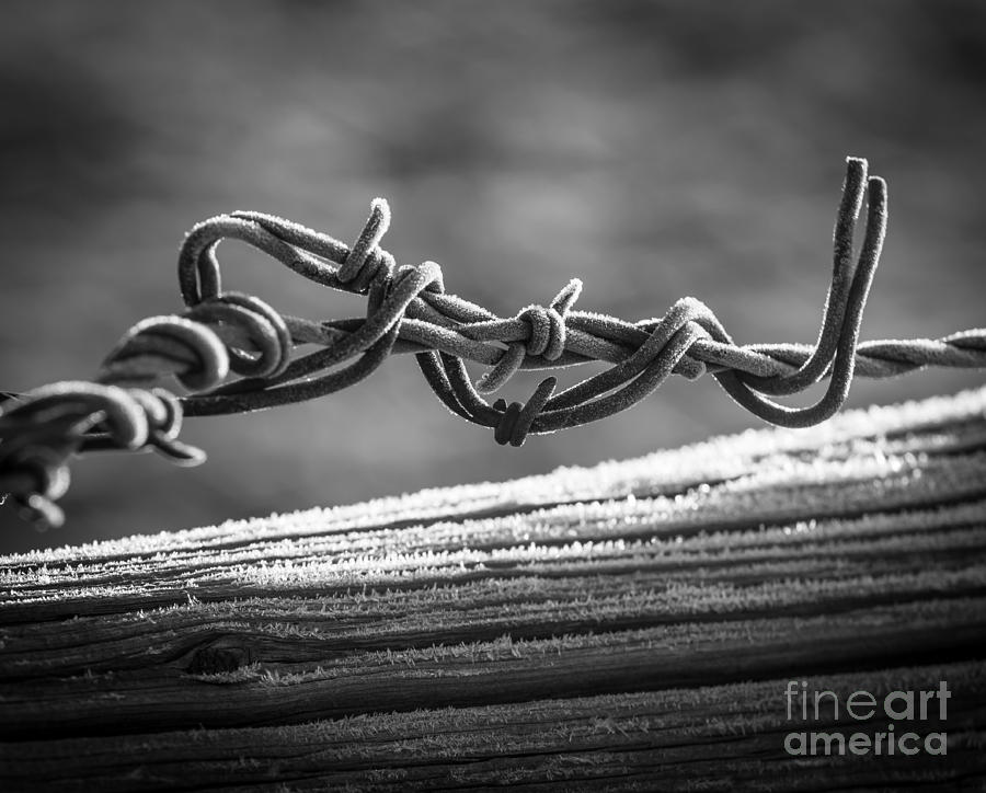 Architecture Photograph - Barbed Wire by Inge Johnsson