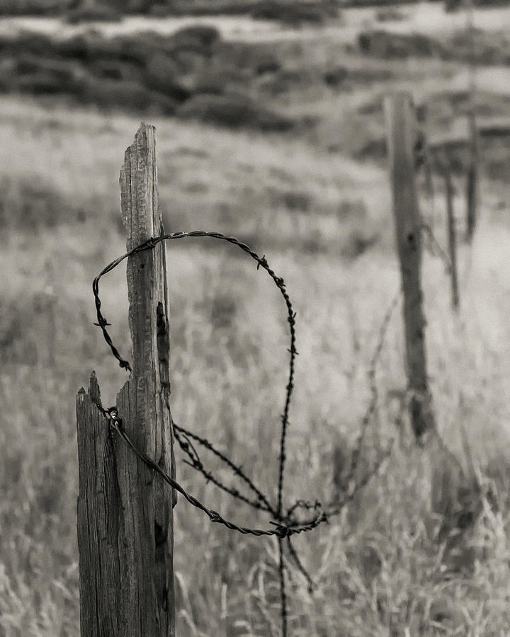 Barbed Wire Photograph by Joseph Smith